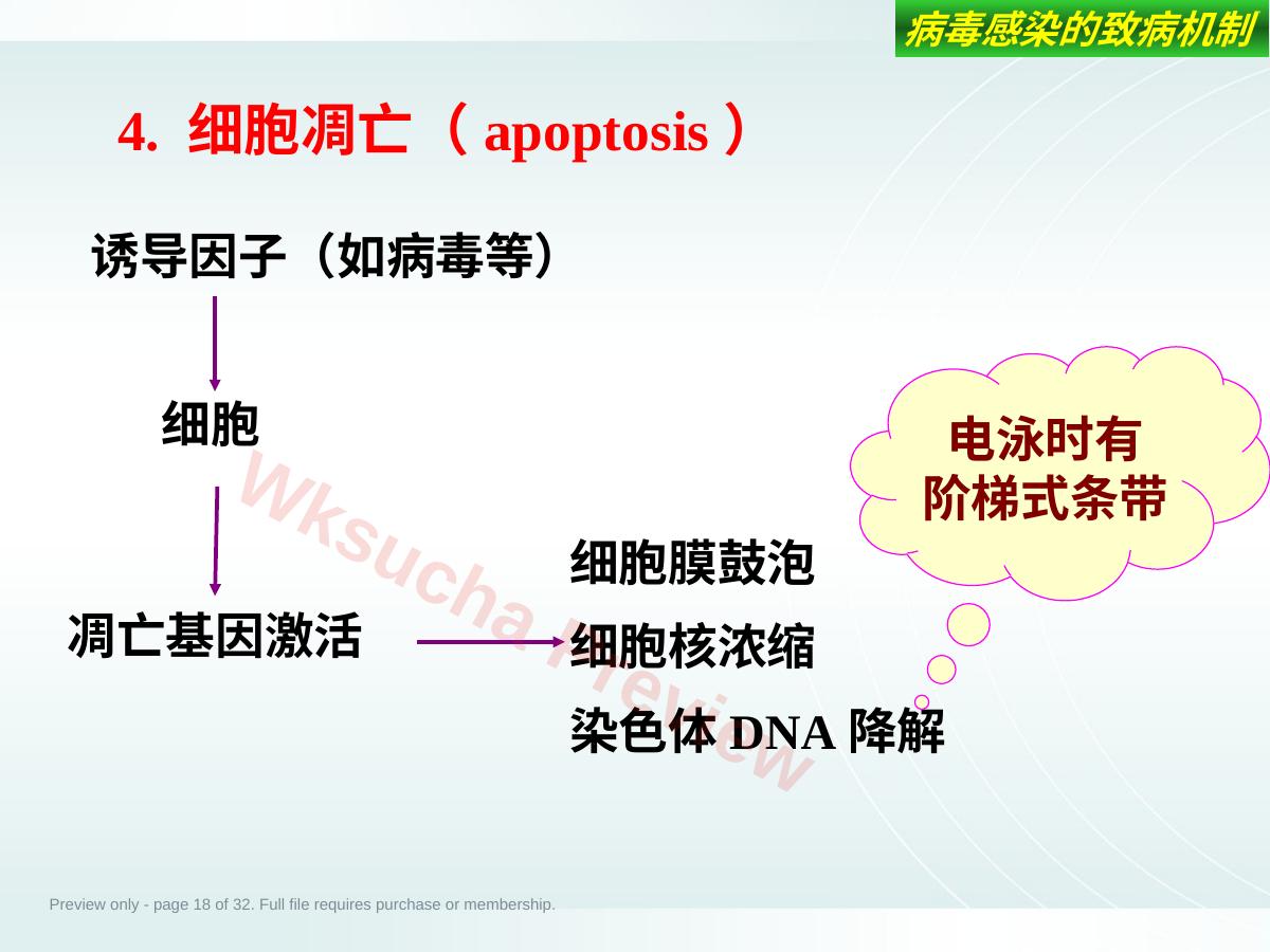 预览第 18 页