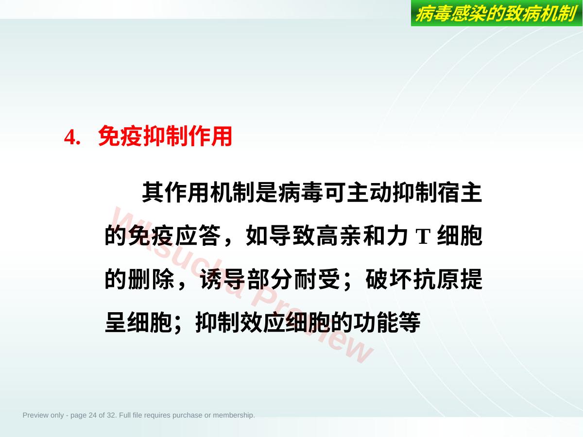 预览第 24 页