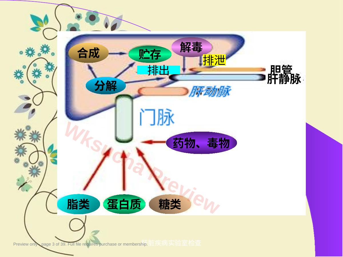 预览第 3 页