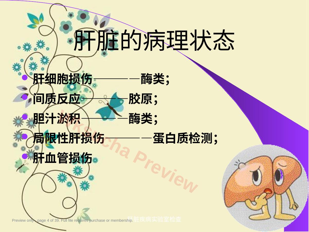 预览第 4 页