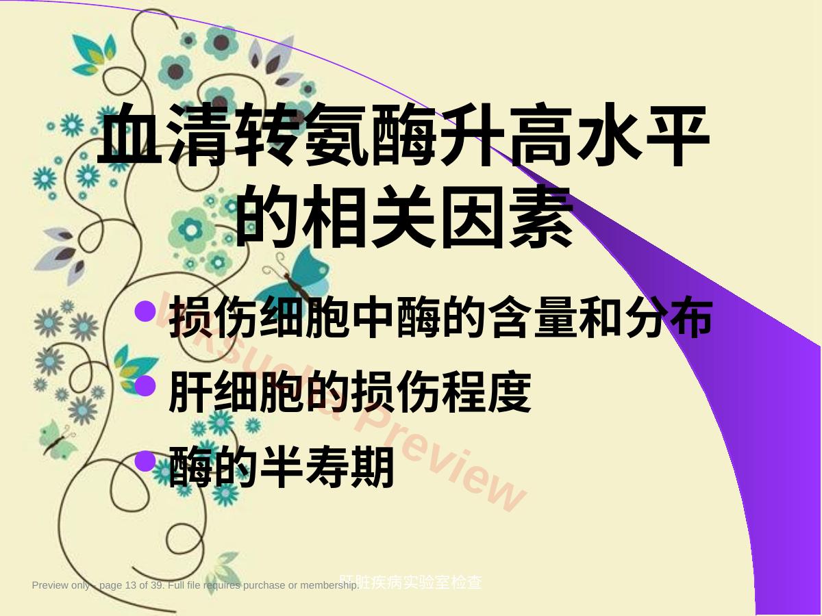预览第 13 页