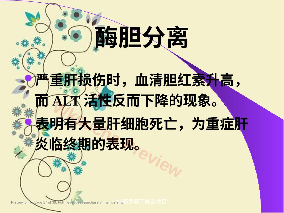 预览第 17 页