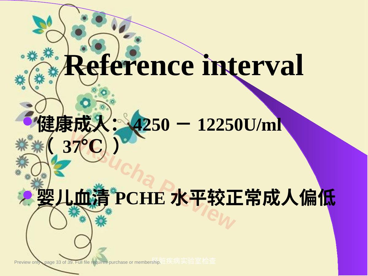 预览第 33 页