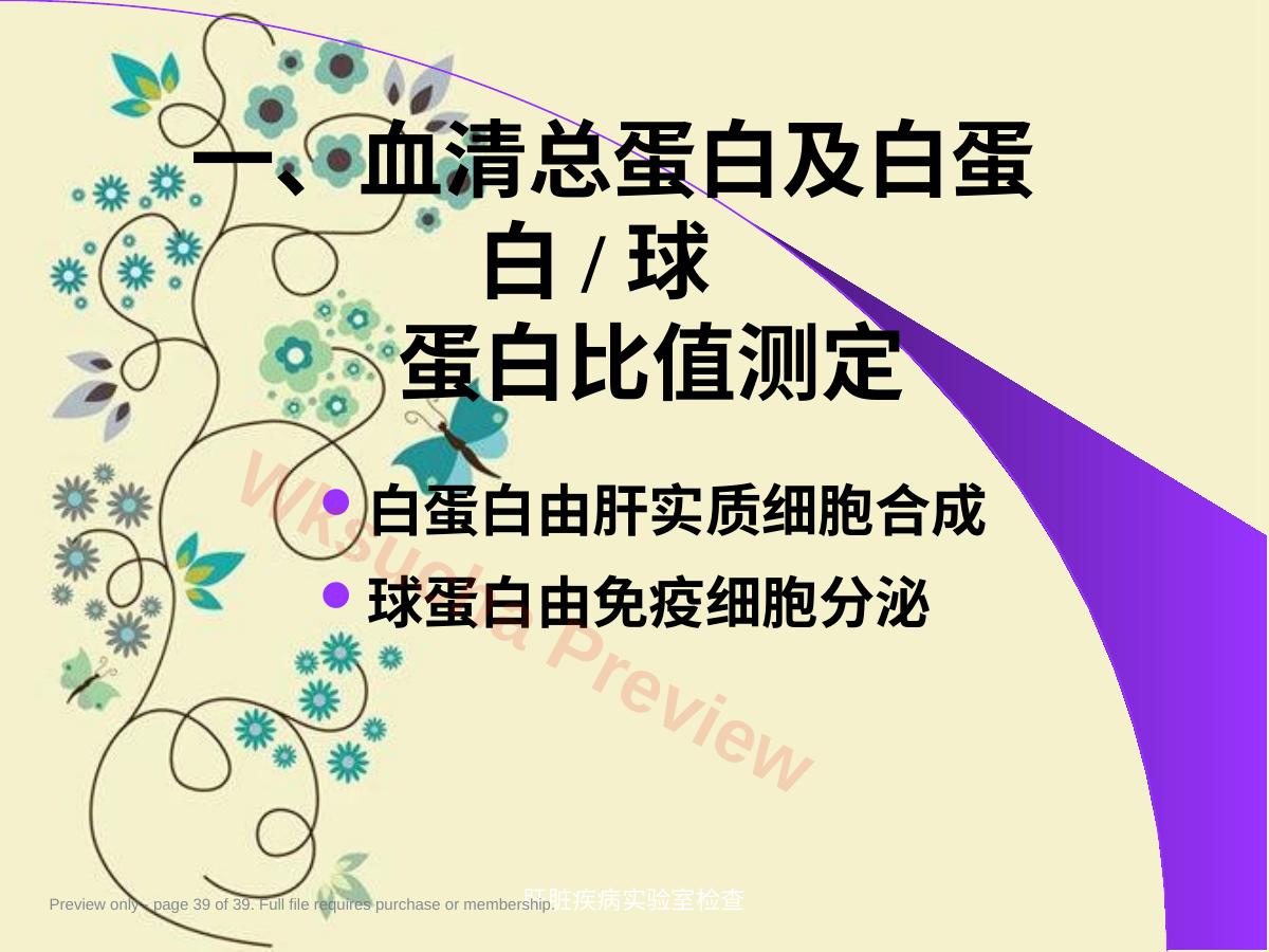 预览第 39 页