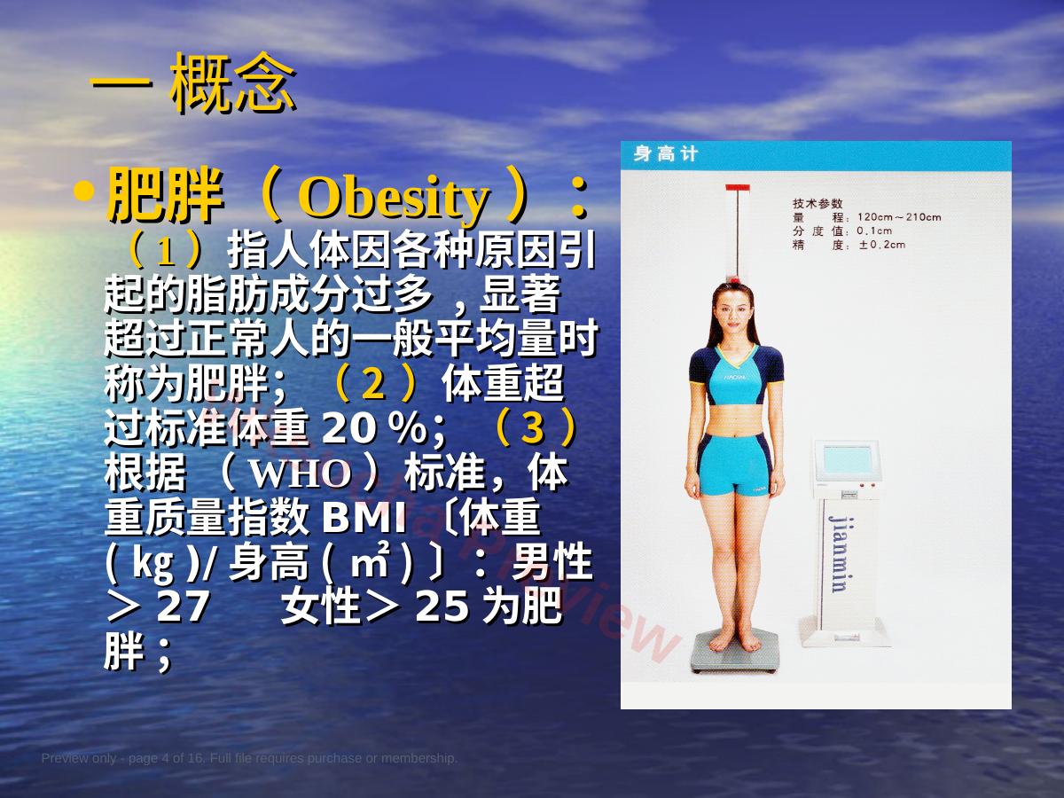 预览第 4 页