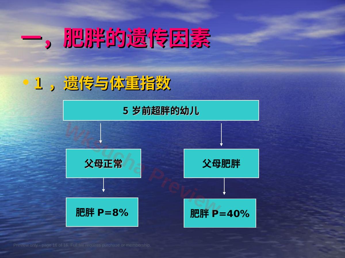 预览第 16 页