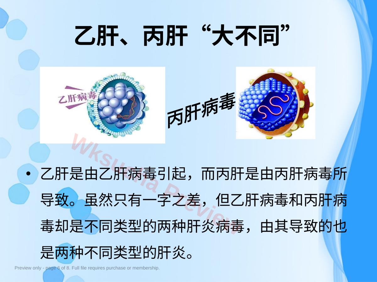 预览第 6 页