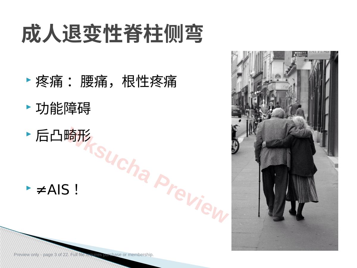 预览第 3 页