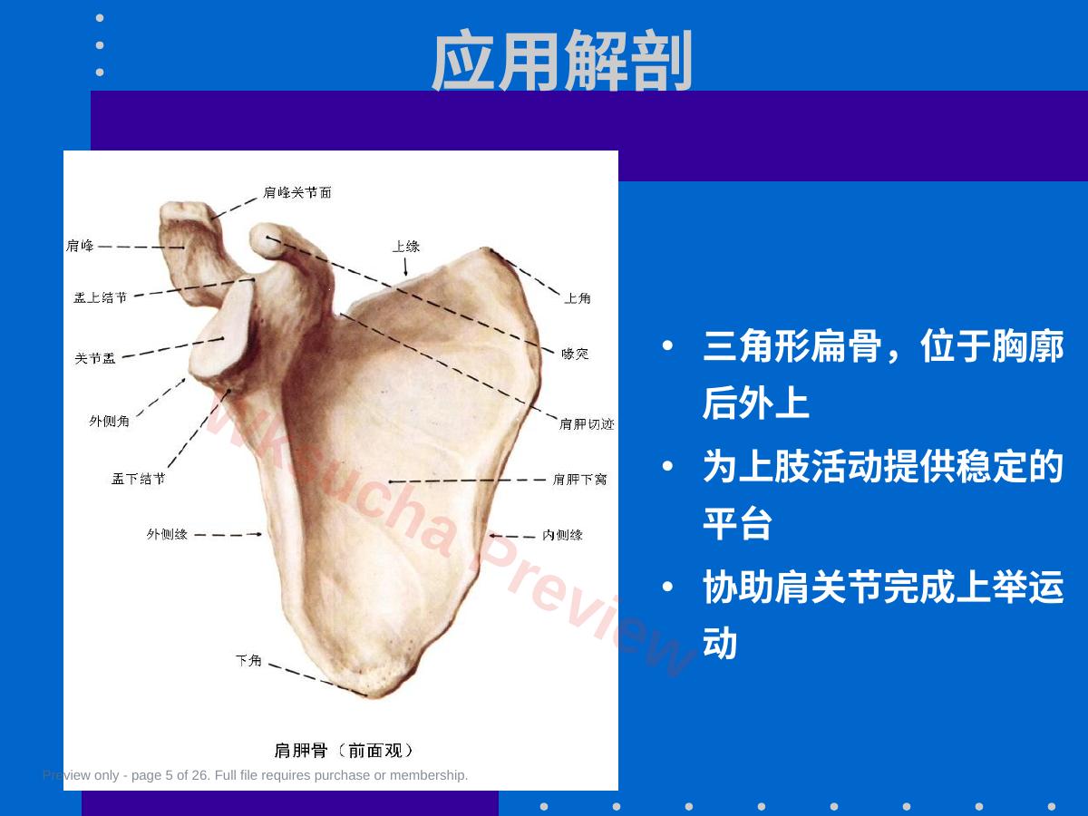 预览第 5 页