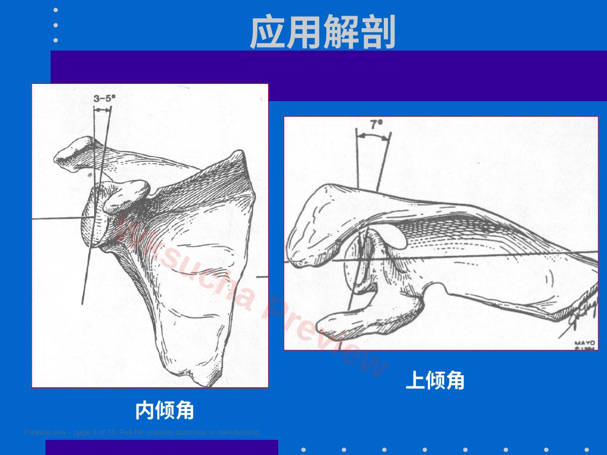 预览第 8 页