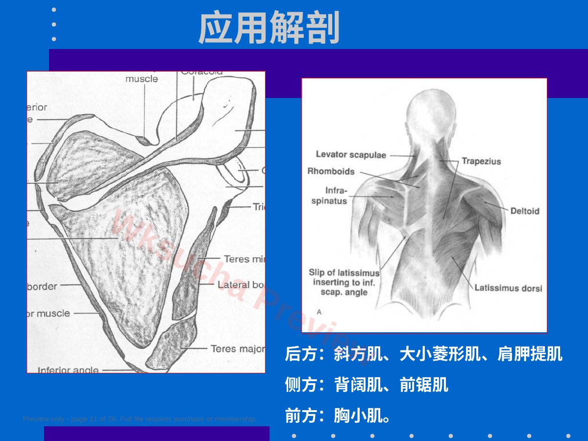 预览第 11 页