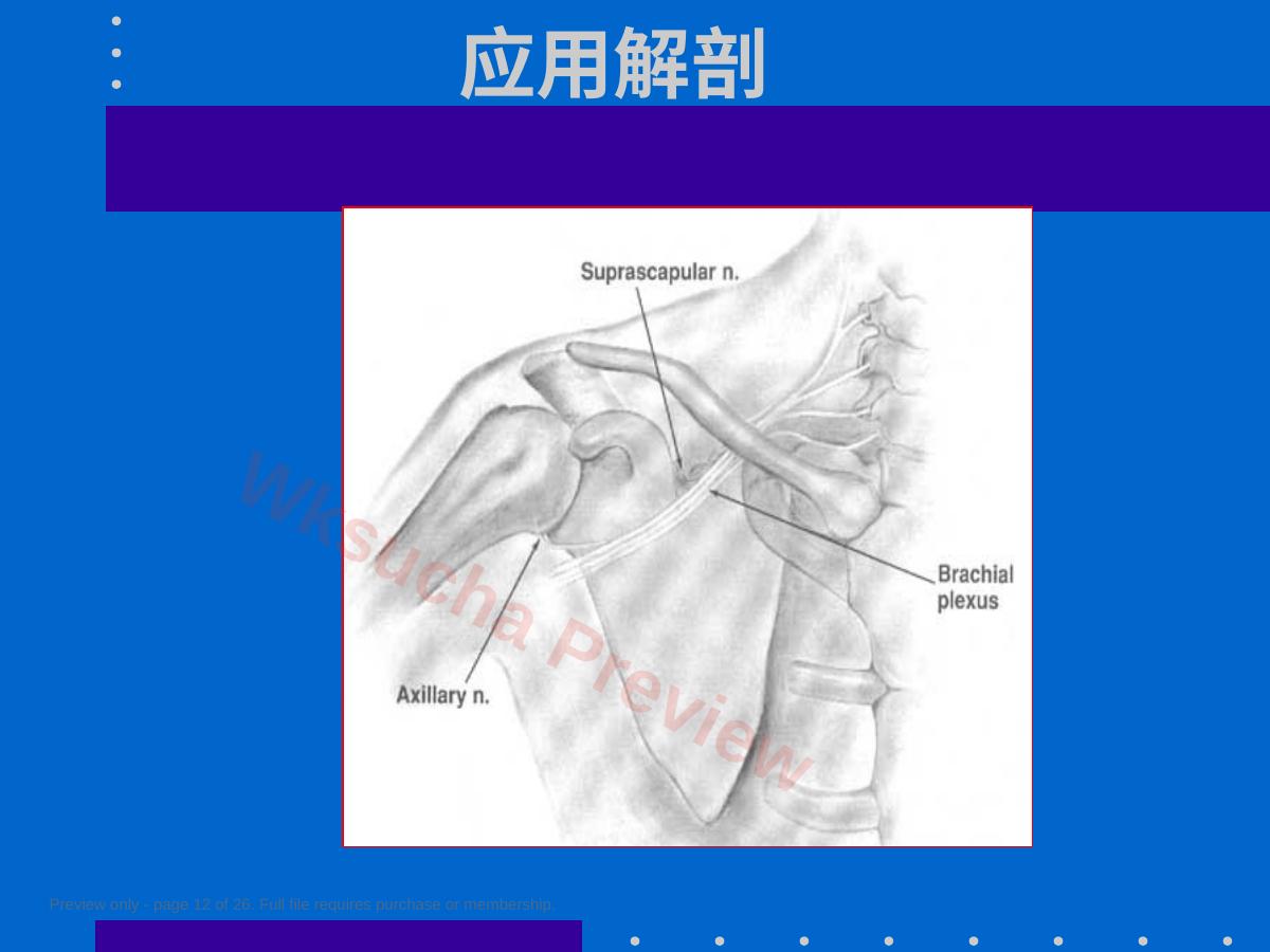 预览第 12 页