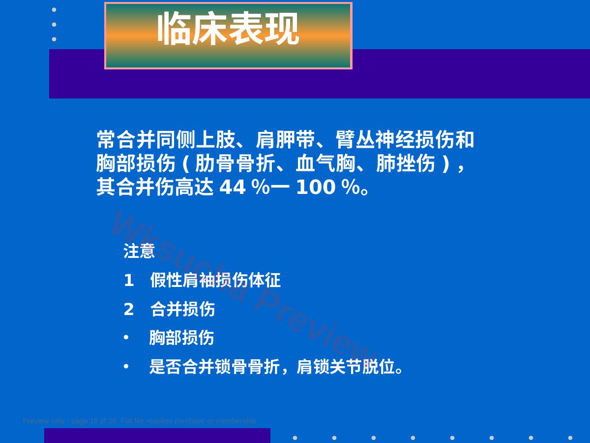 预览第 16 页