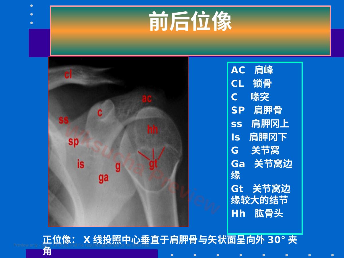 预览第 19 页