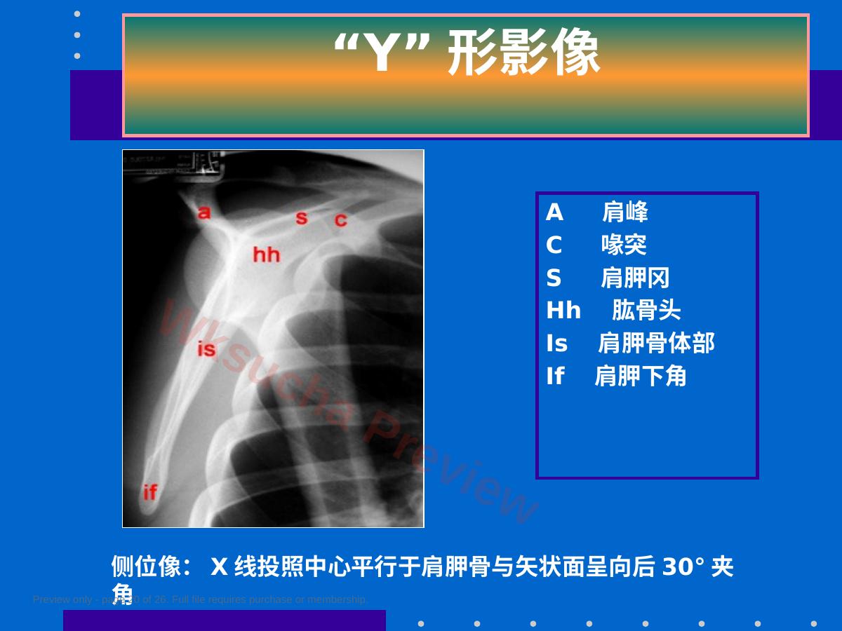 预览第 20 页