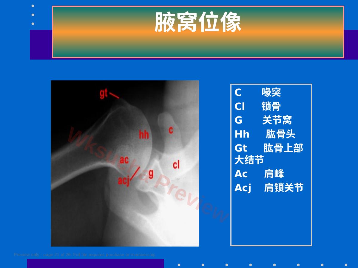 预览第 21 页