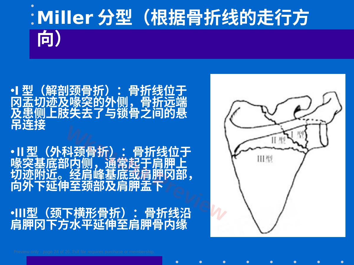 预览第 24 页