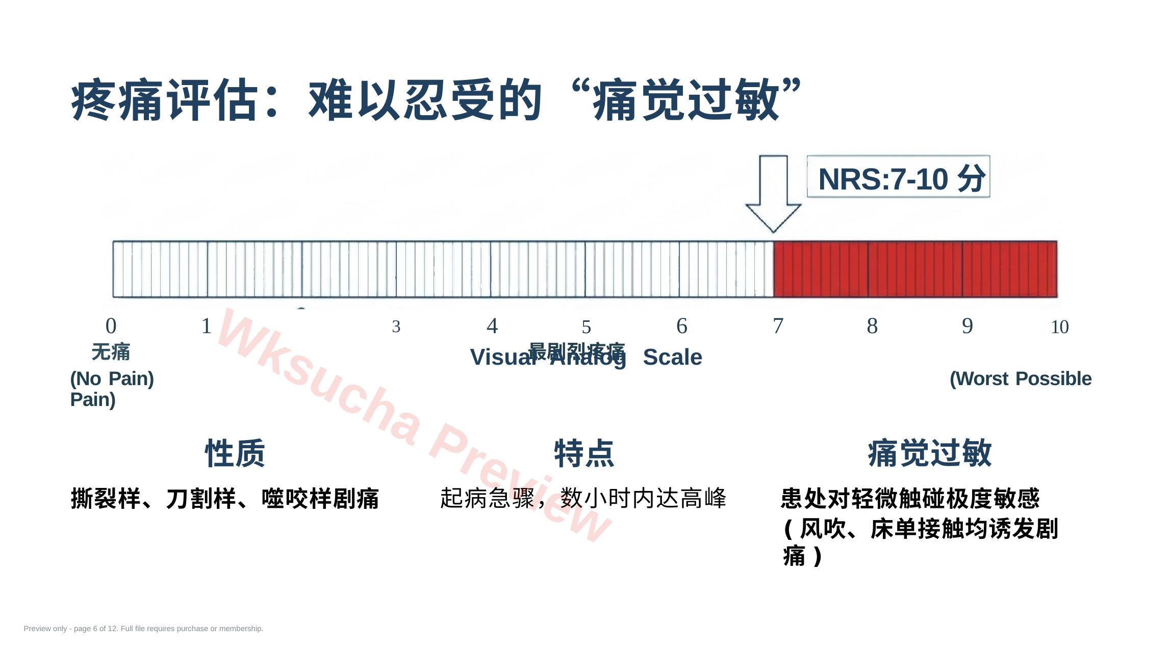 预览第 6 页