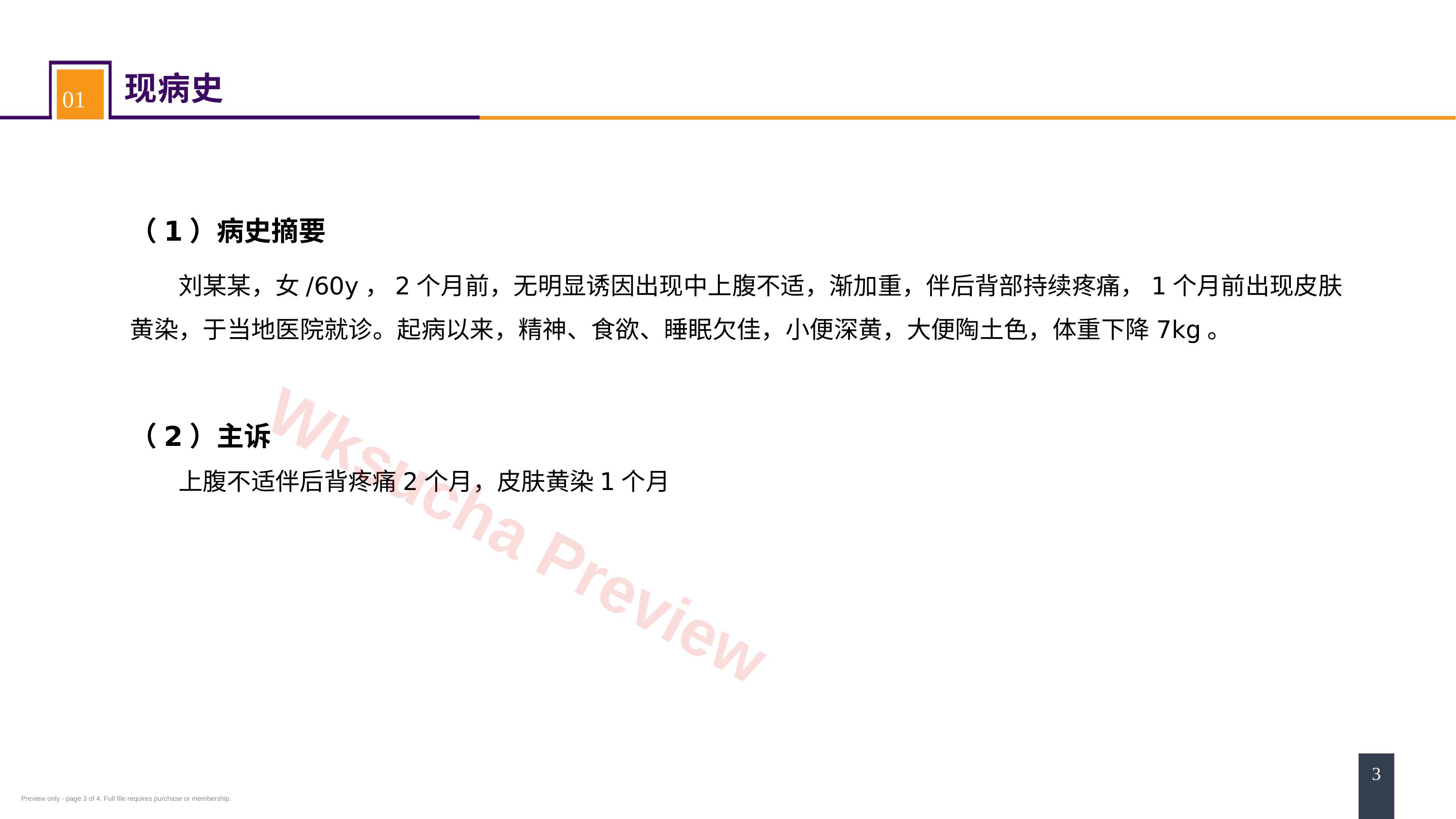 预览第 3 页