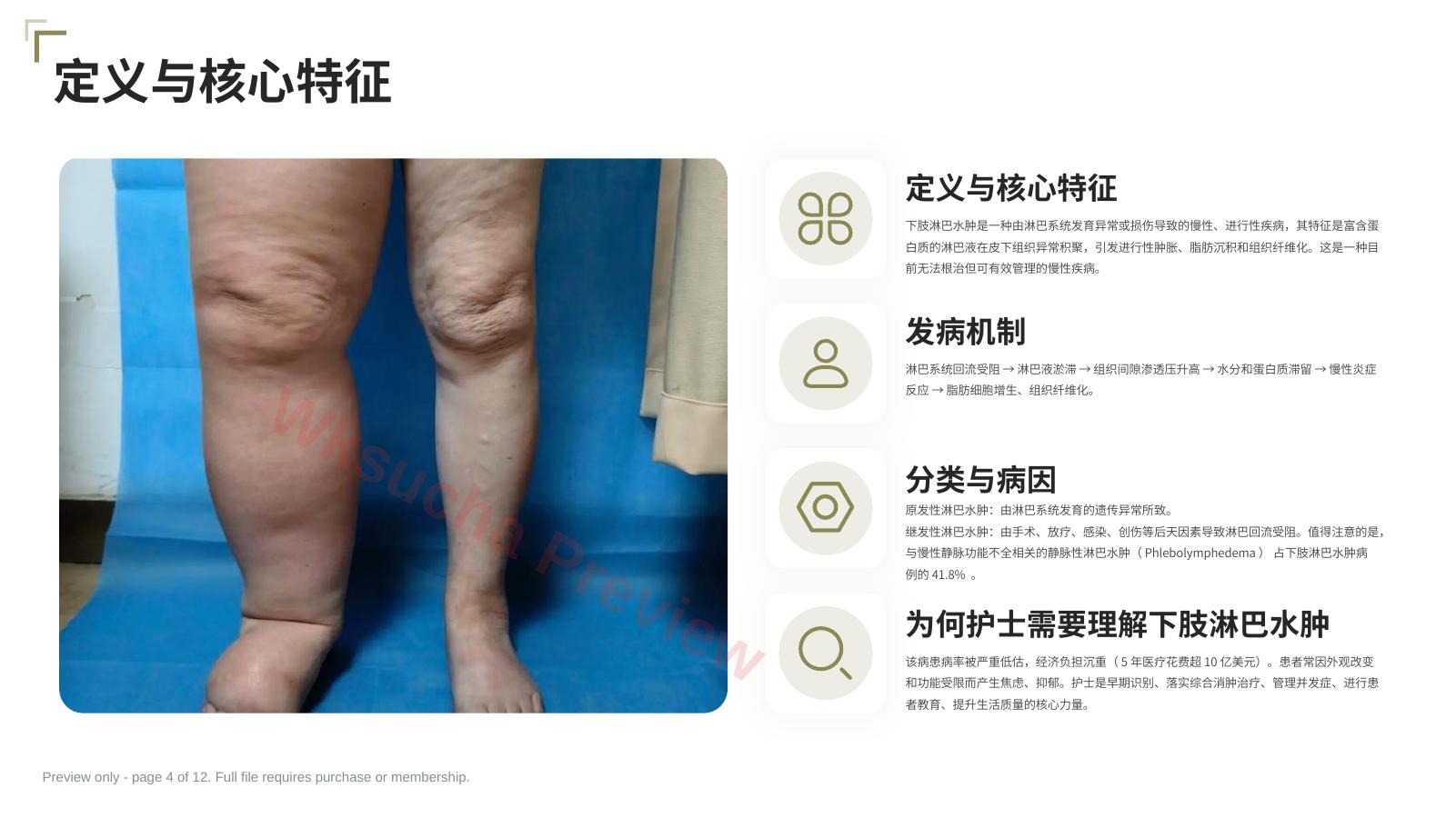预览第 4 页