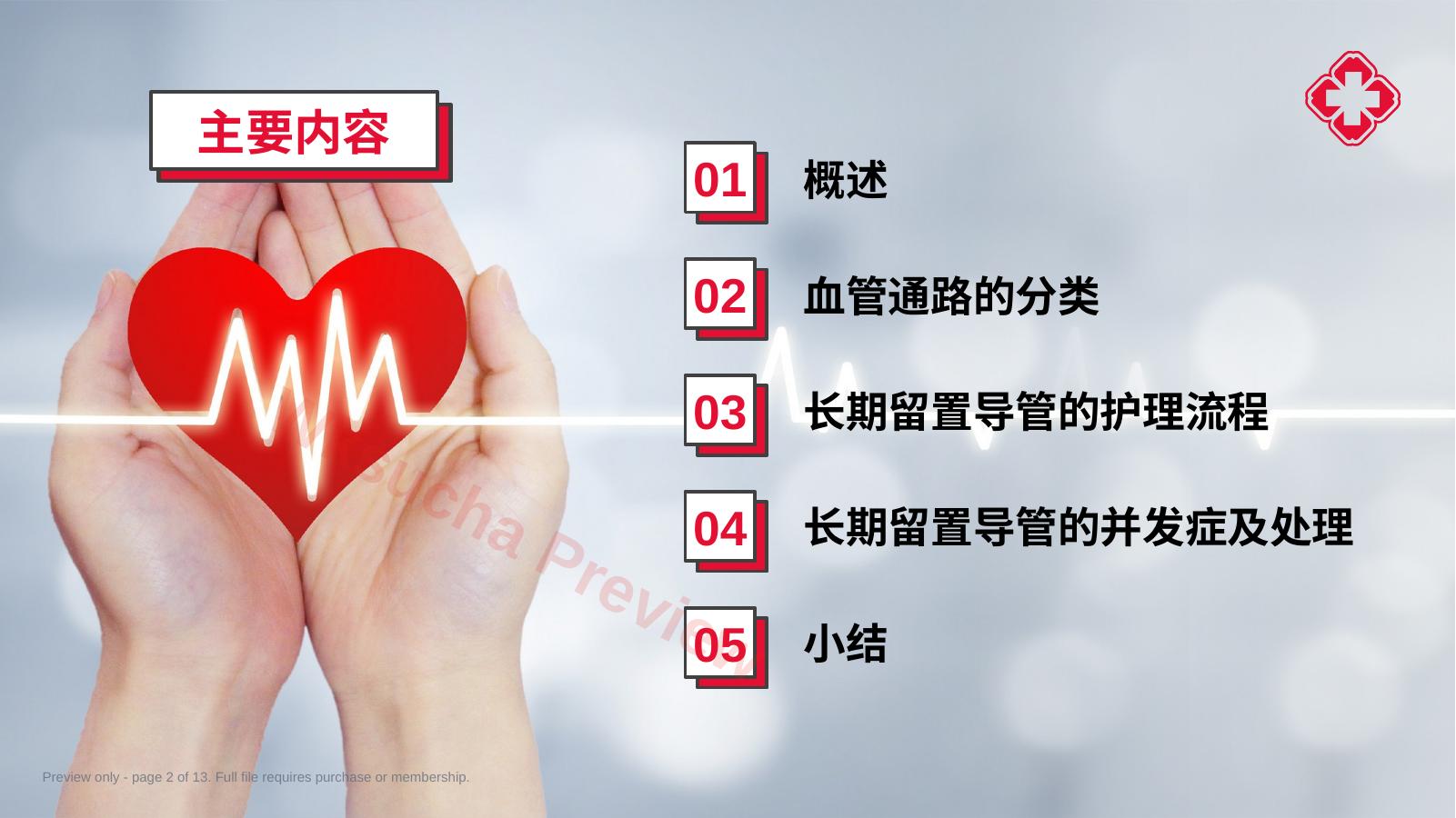 预览第 2 页