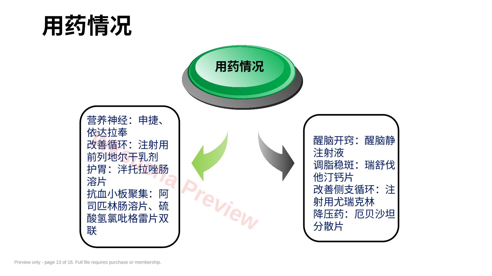 预览第 13 页