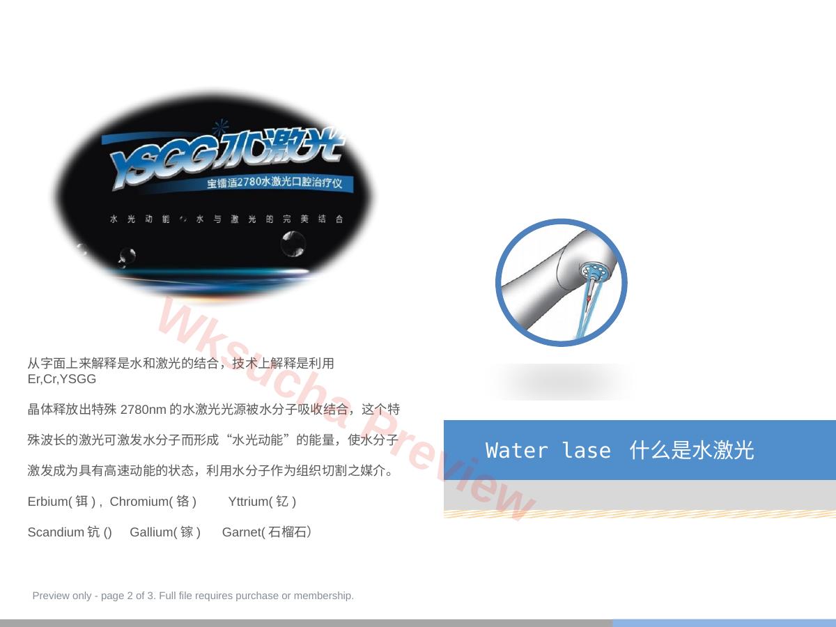 预览第 2 页