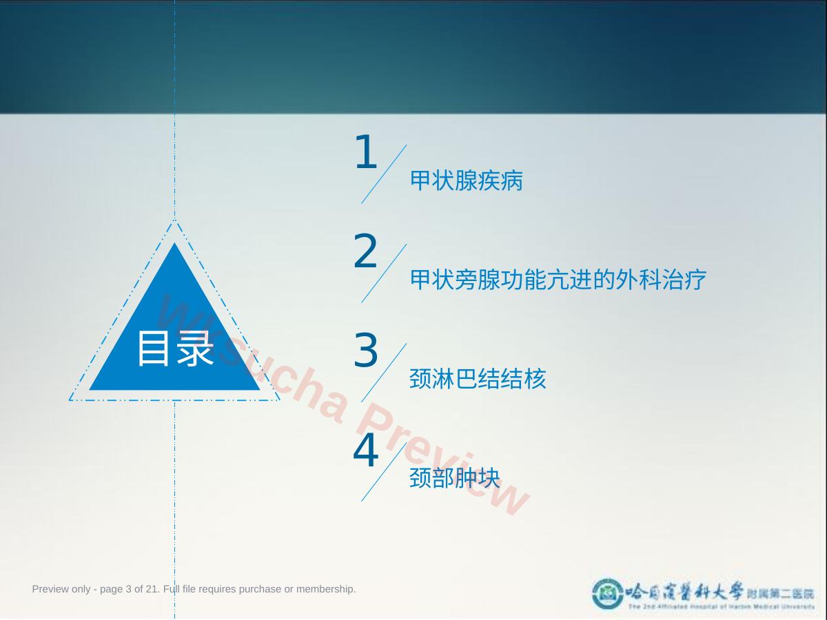 预览第 3 页