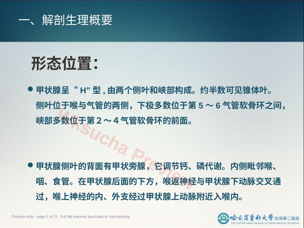 预览第 6 页