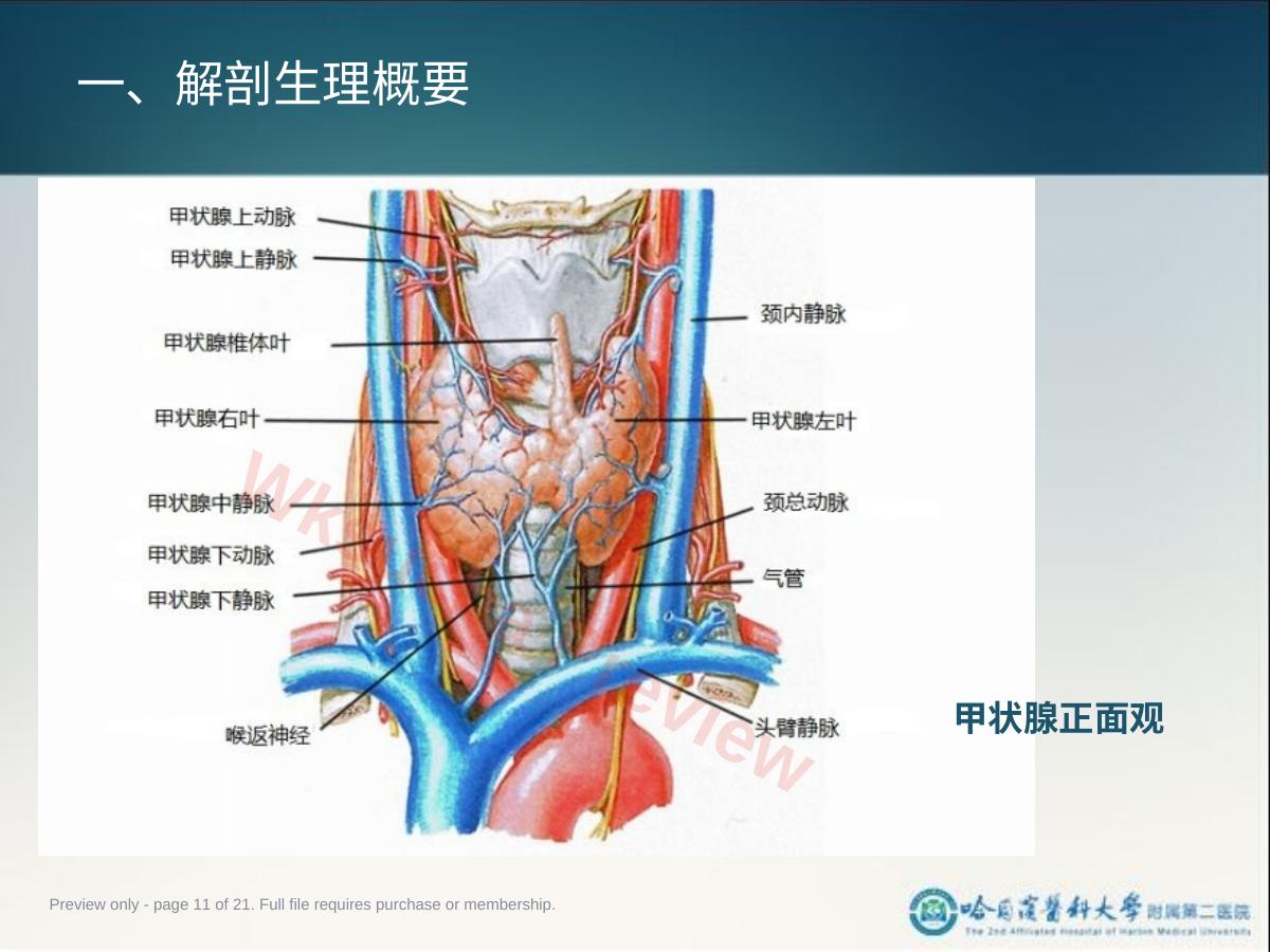 预览第 11 页