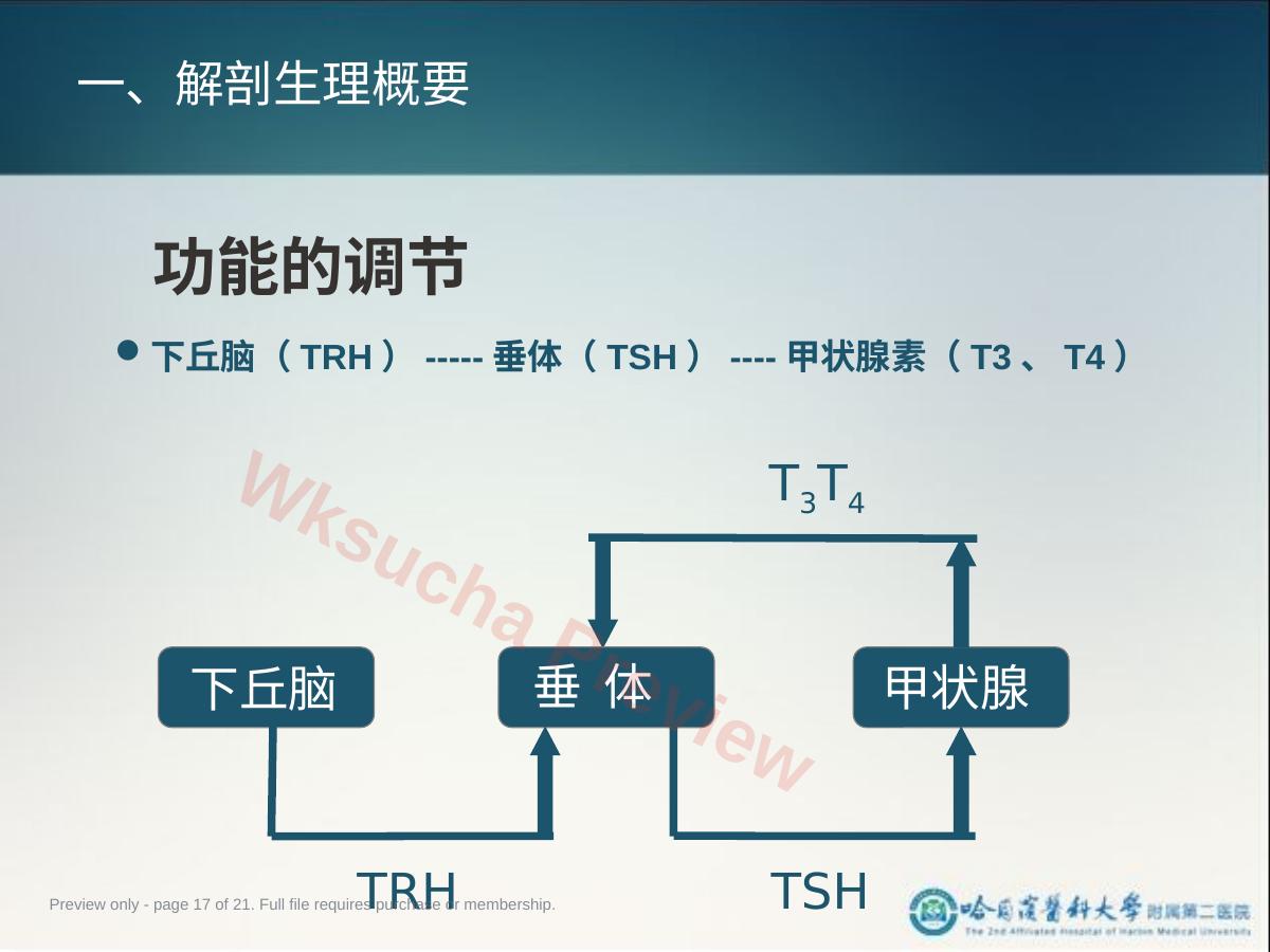预览第 17 页