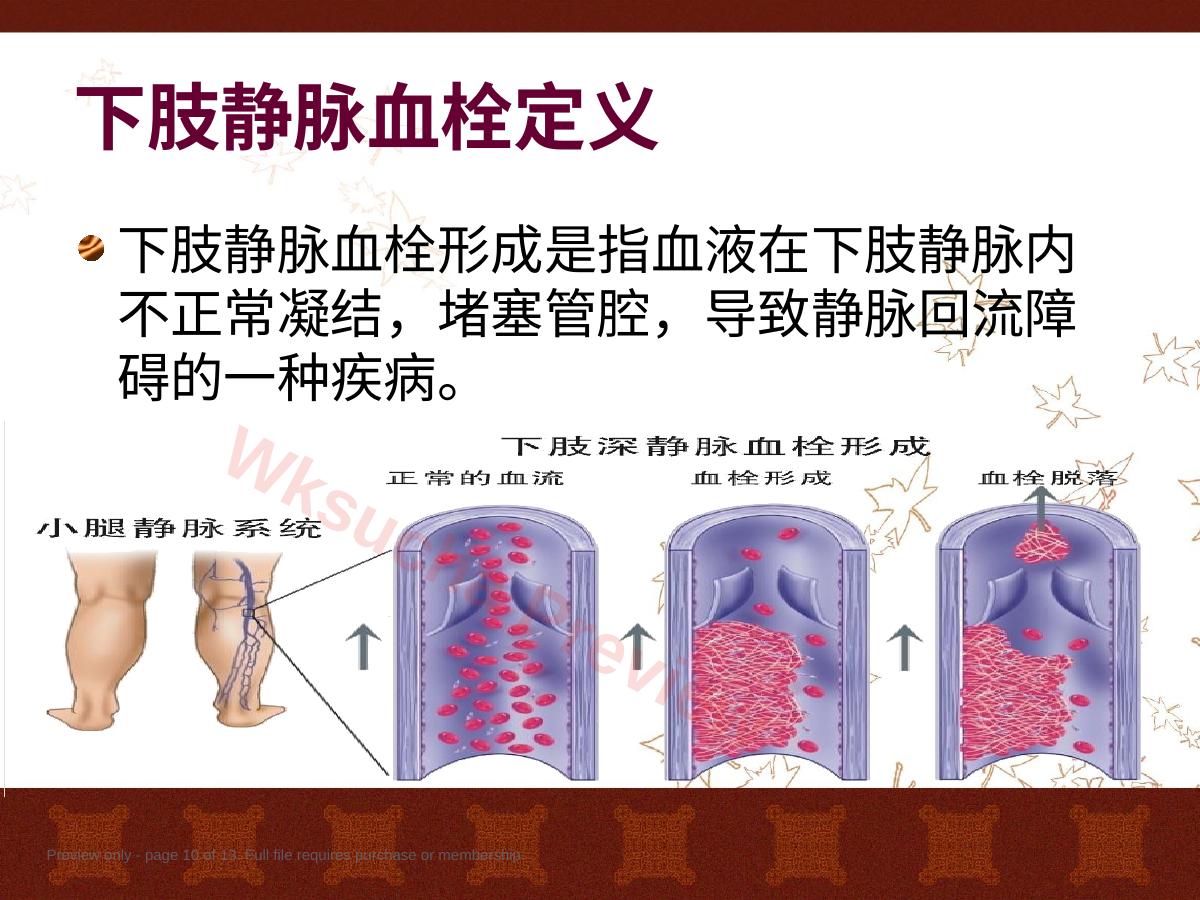 预览第 10 页