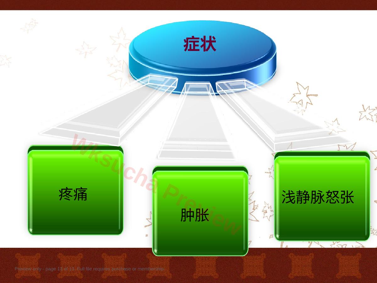 预览第 13 页