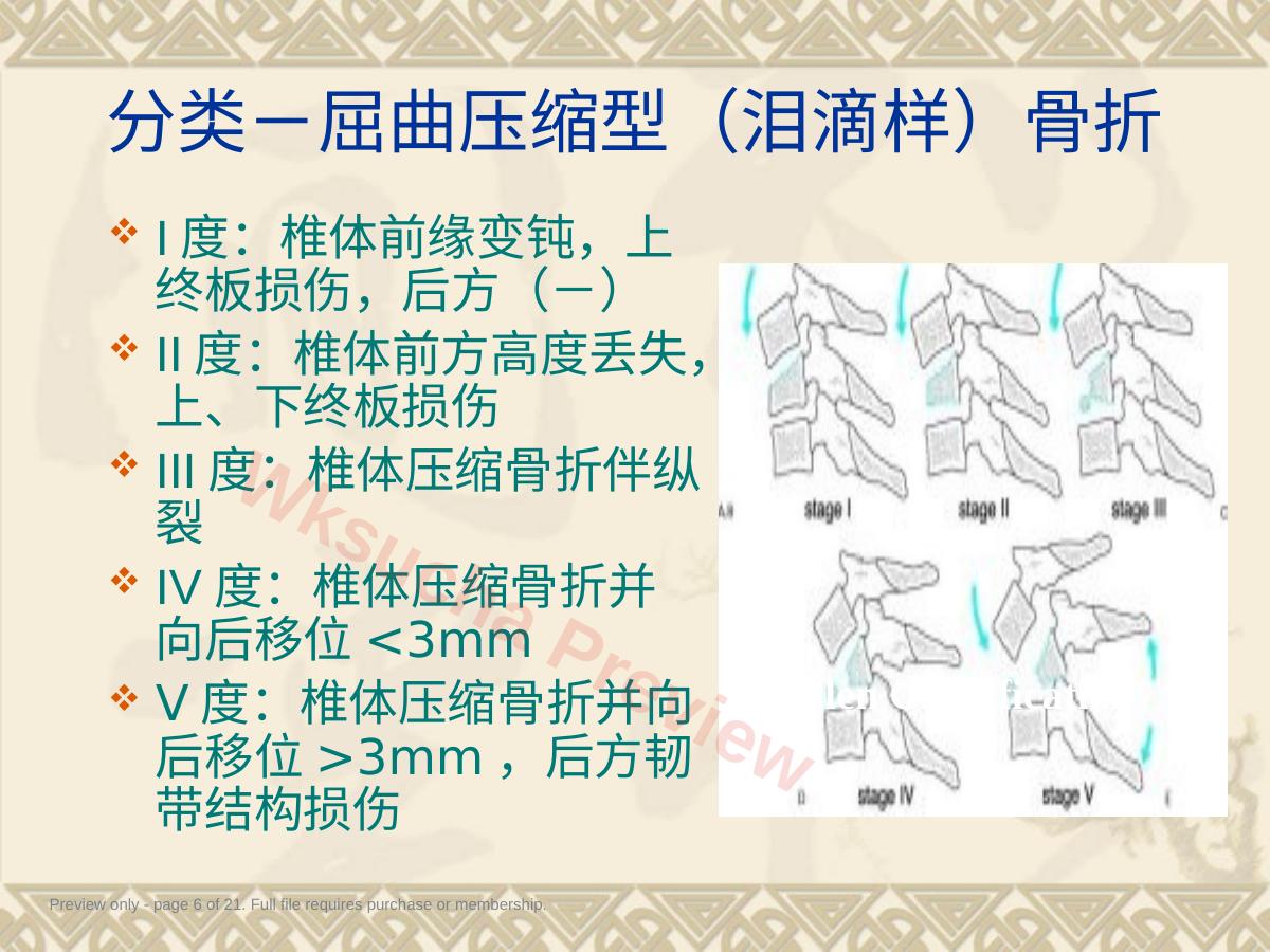 预览第 6 页