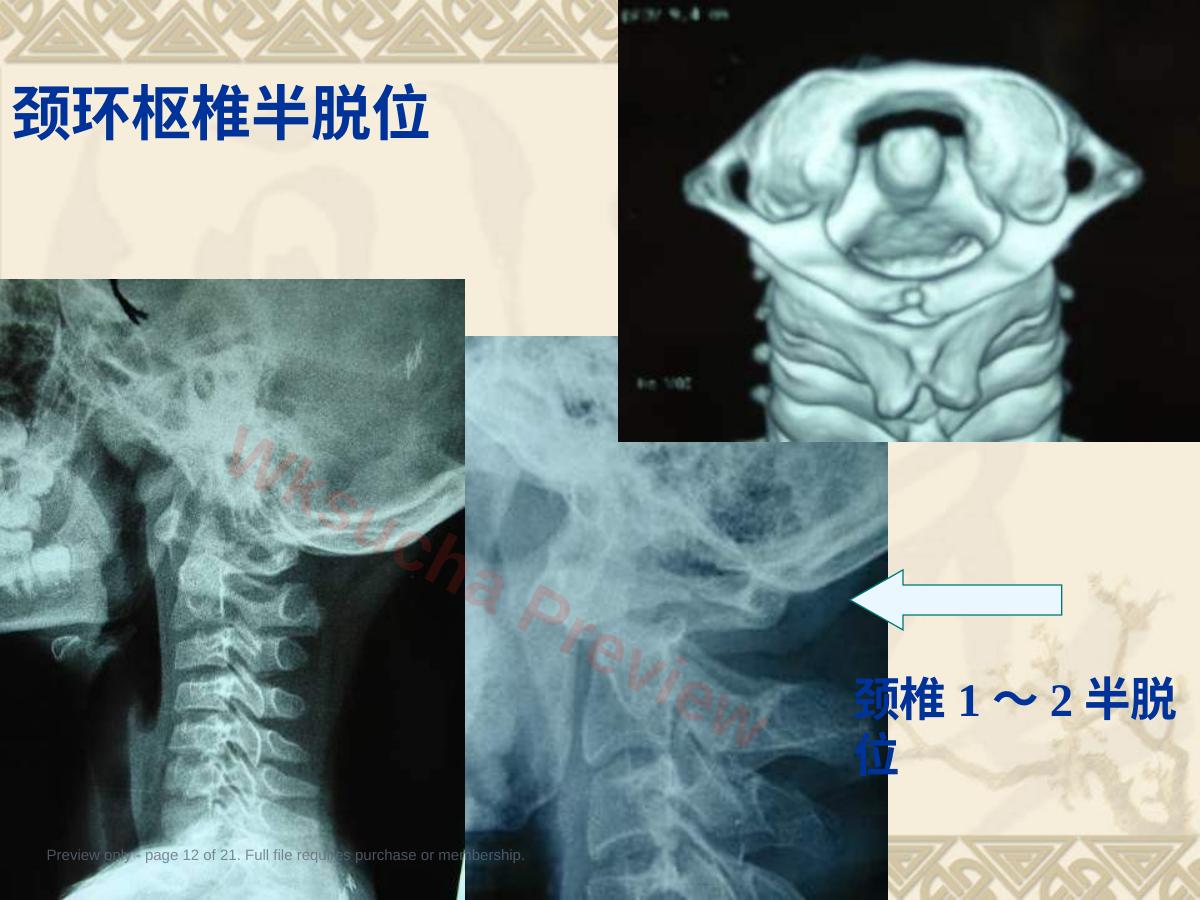 预览第 12 页