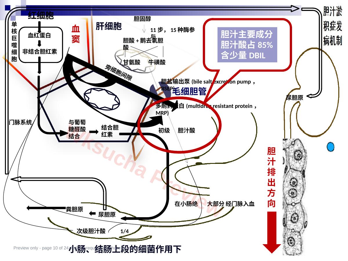 预览第 10 页