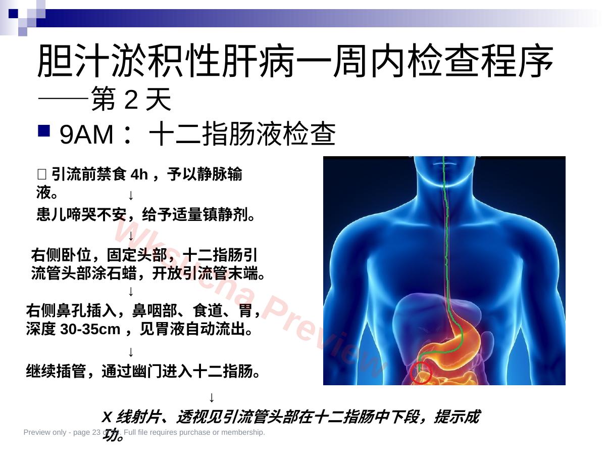 预览第 23 页