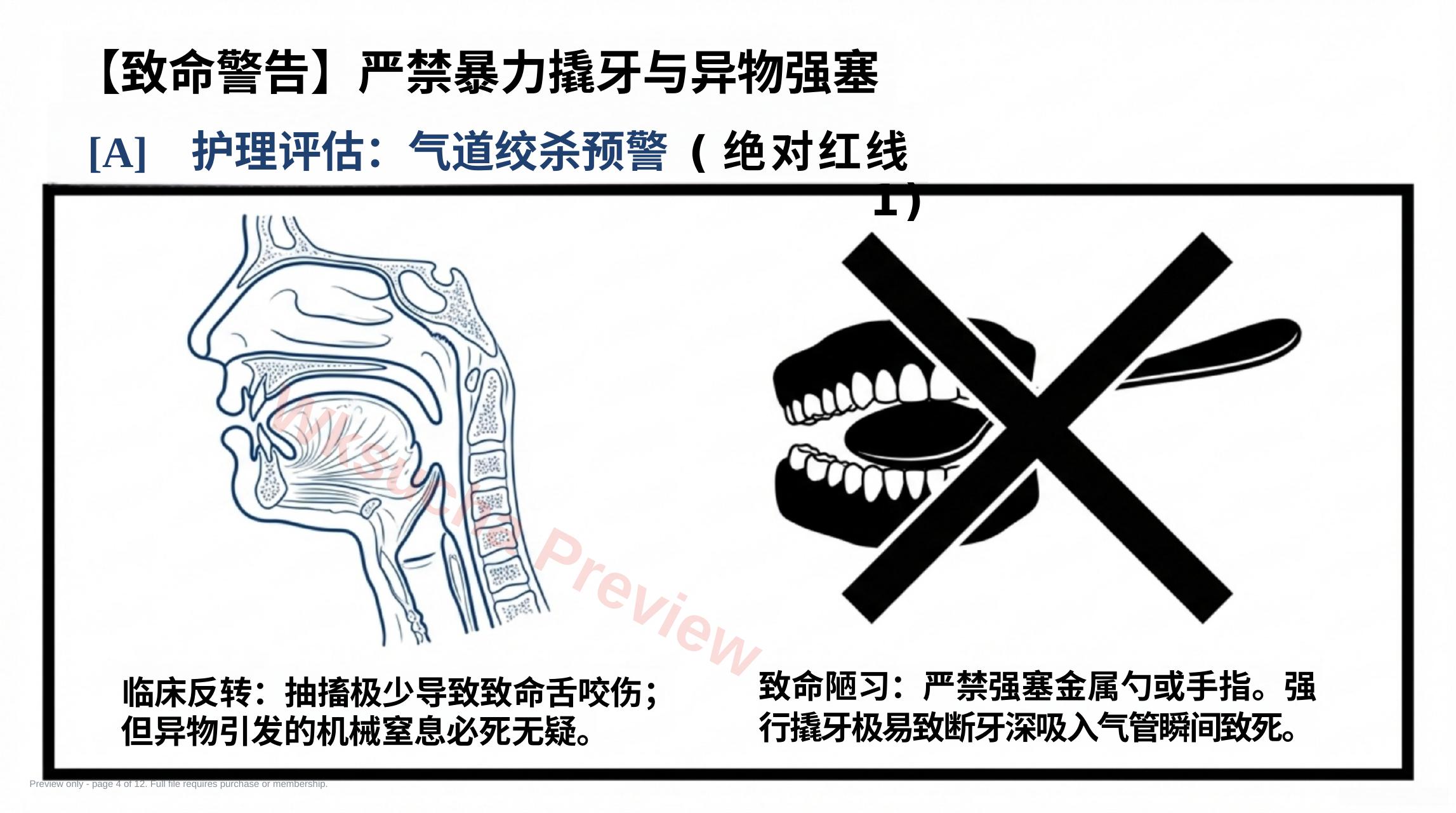 预览第 4 页