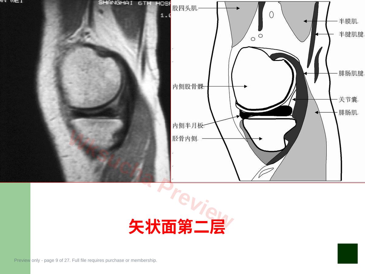 预览第 9 页