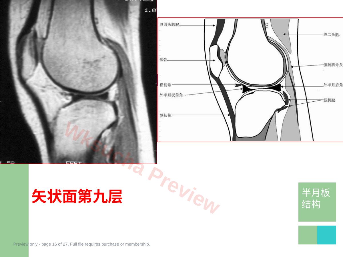 预览第 16 页