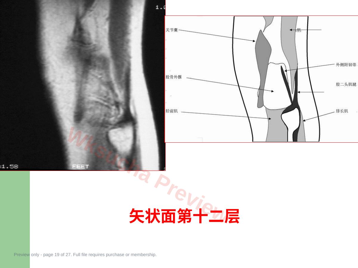 预览第 19 页
