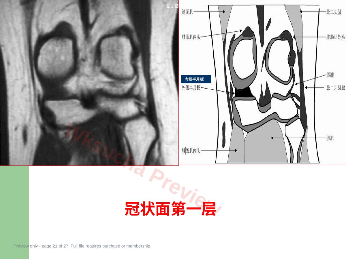 预览第 21 页