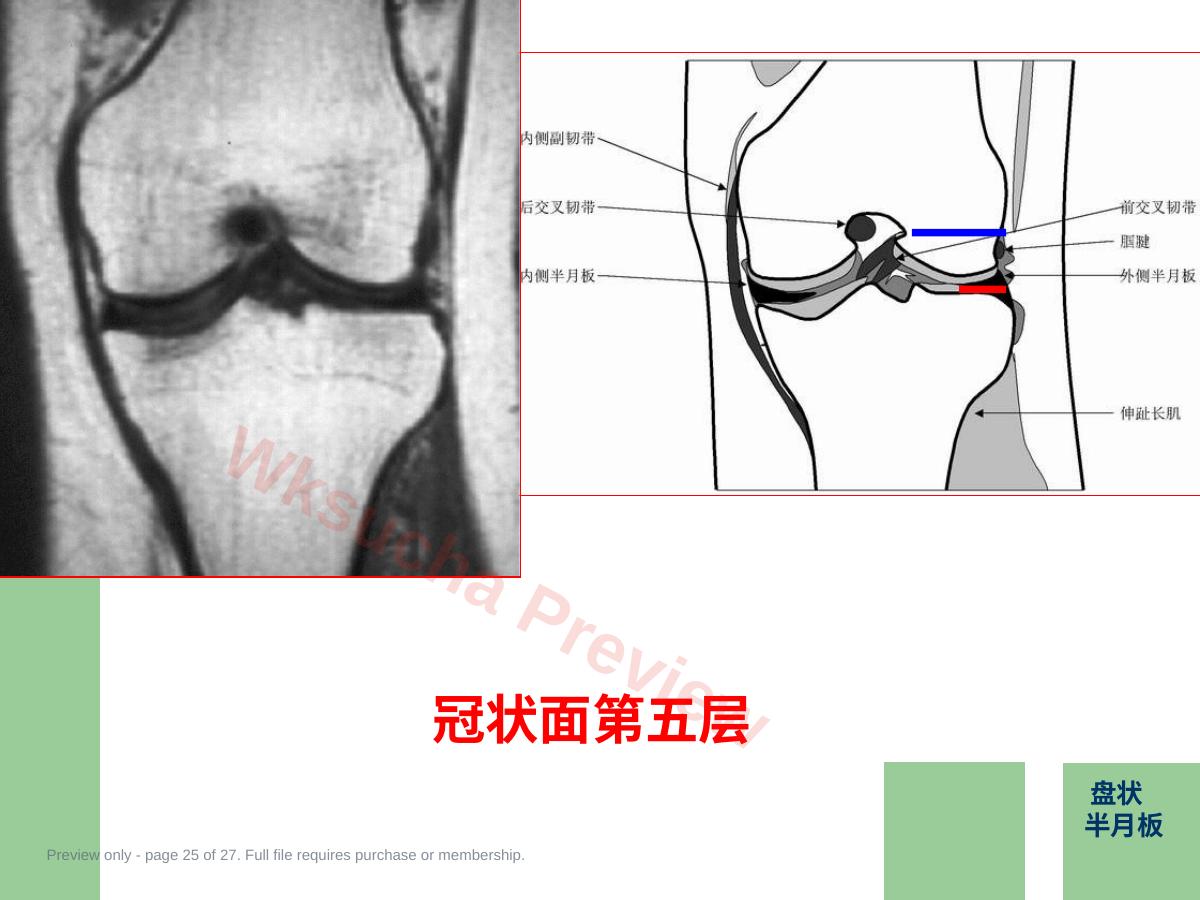 预览第 25 页