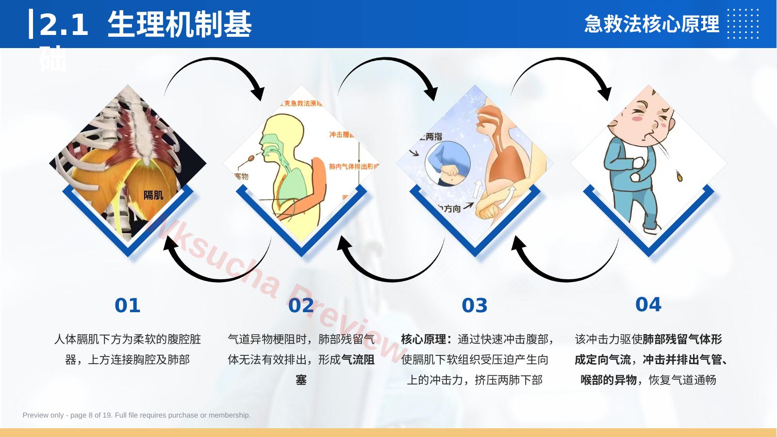 预览第 8 页
