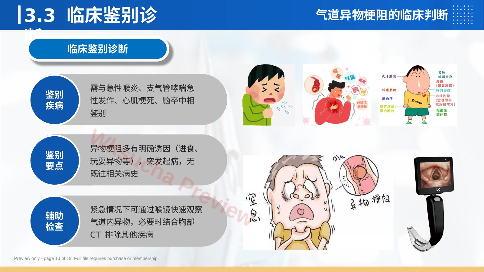 预览第 13 页