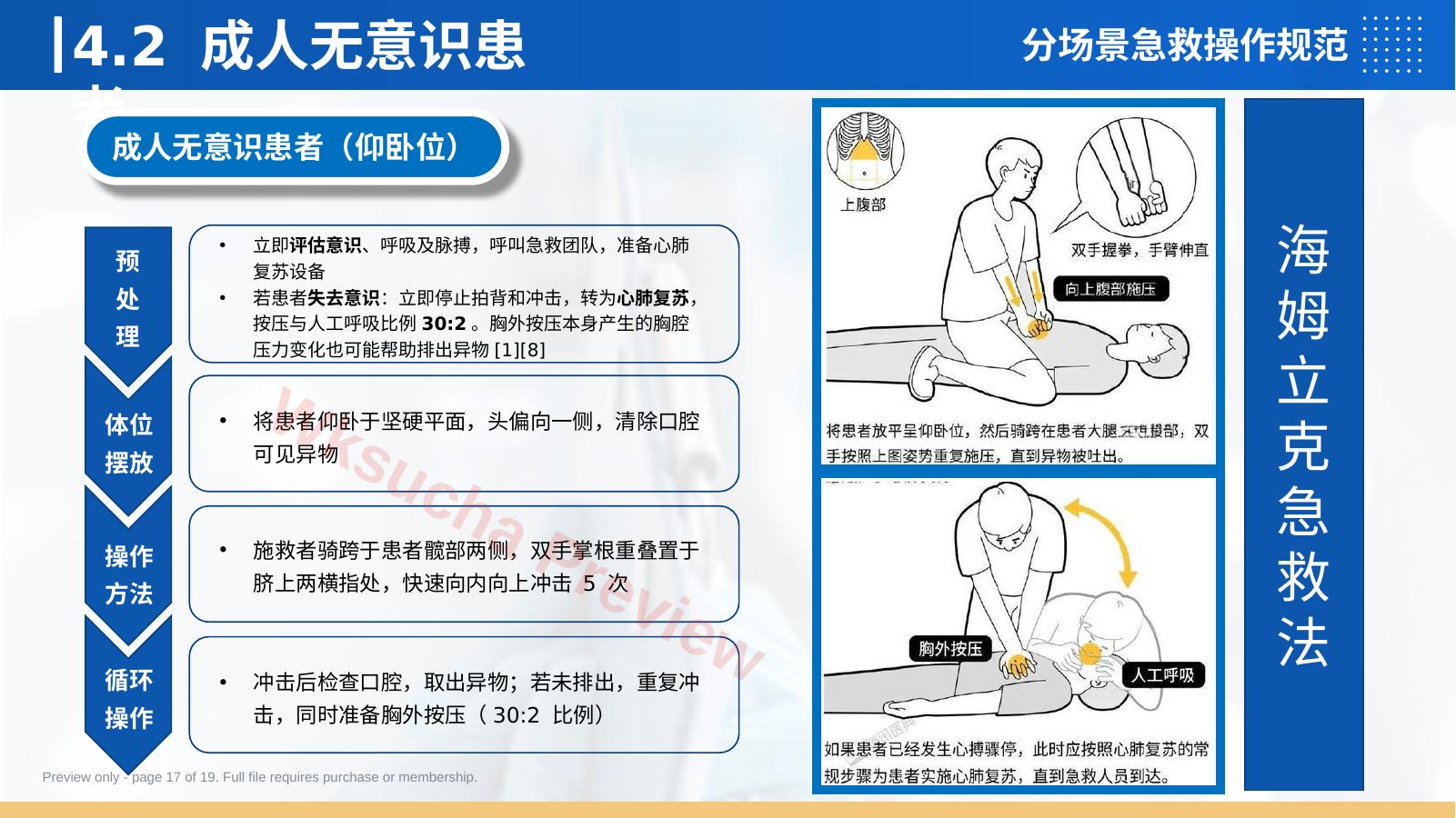 预览第 17 页