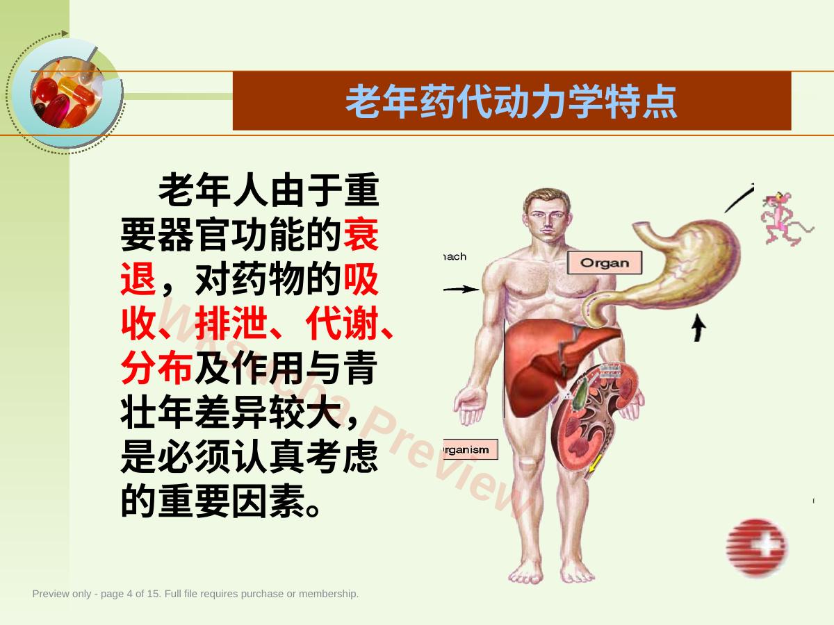 预览第 4 页