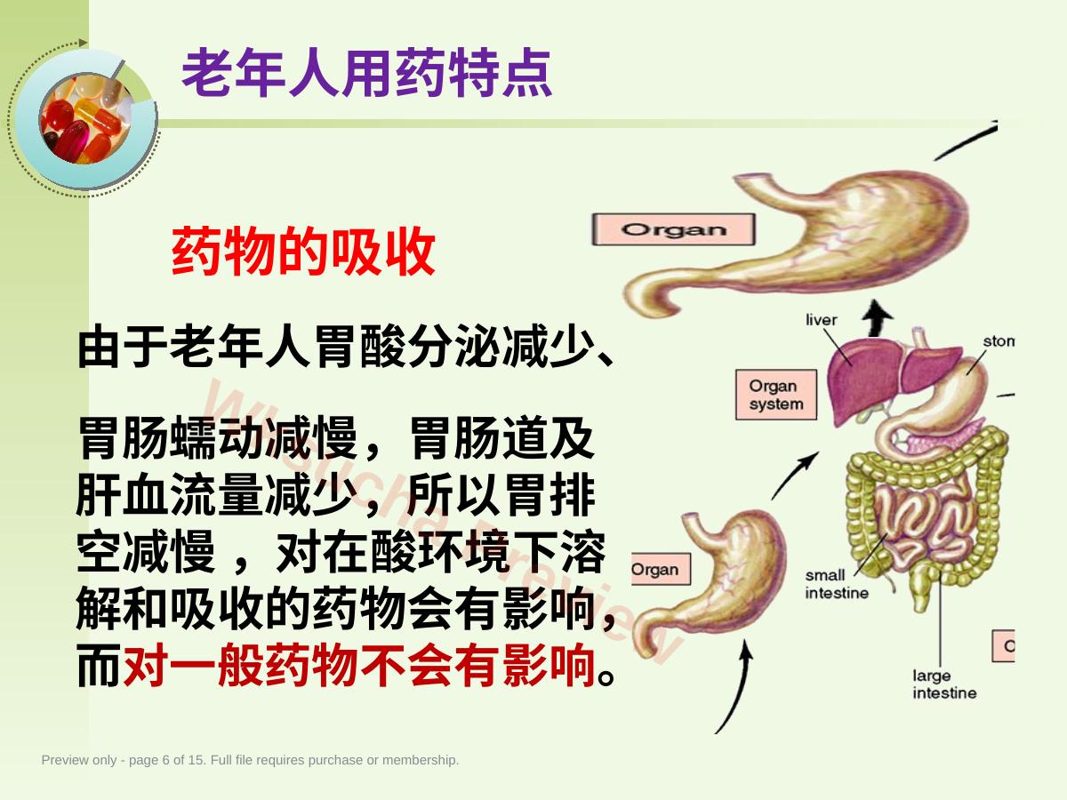 预览第 6 页