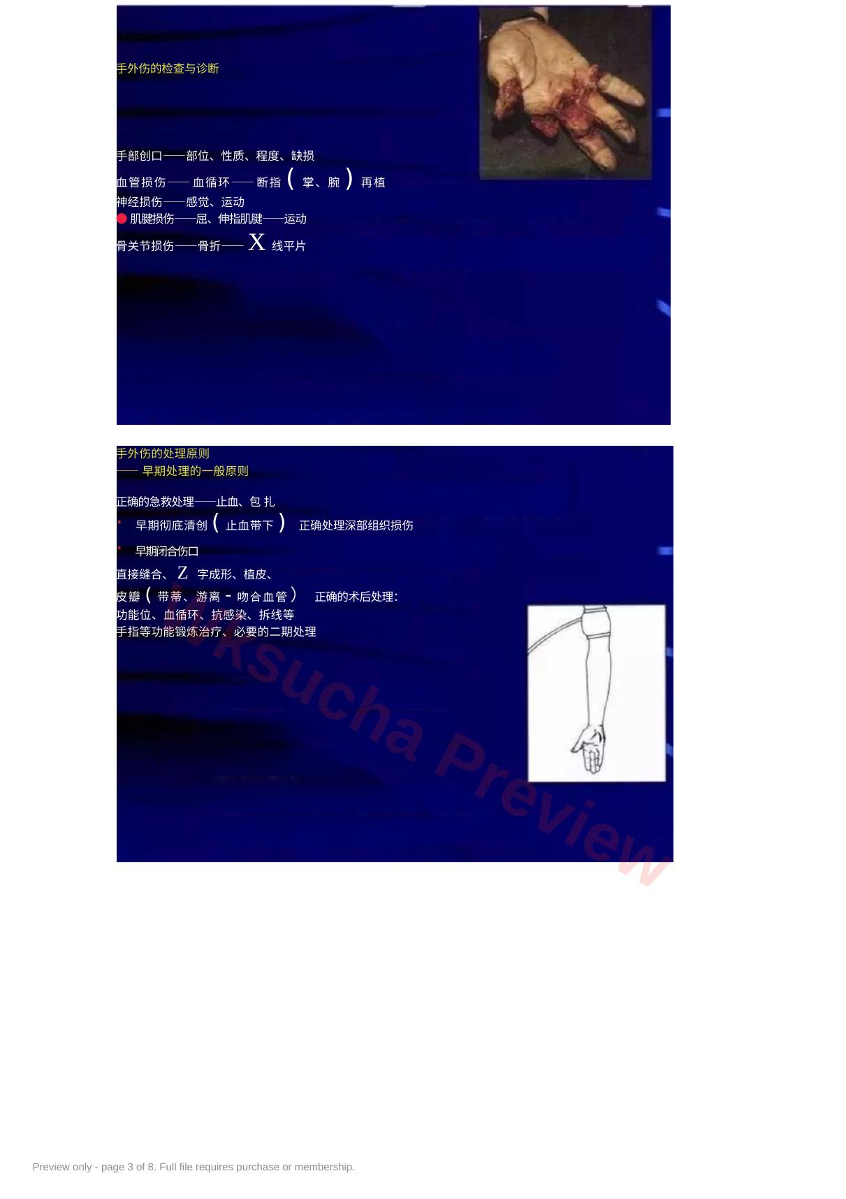 预览第 3 页