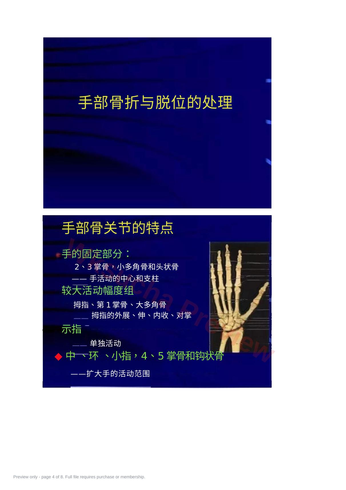 预览第 4 页
